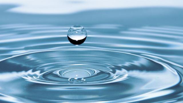 agua