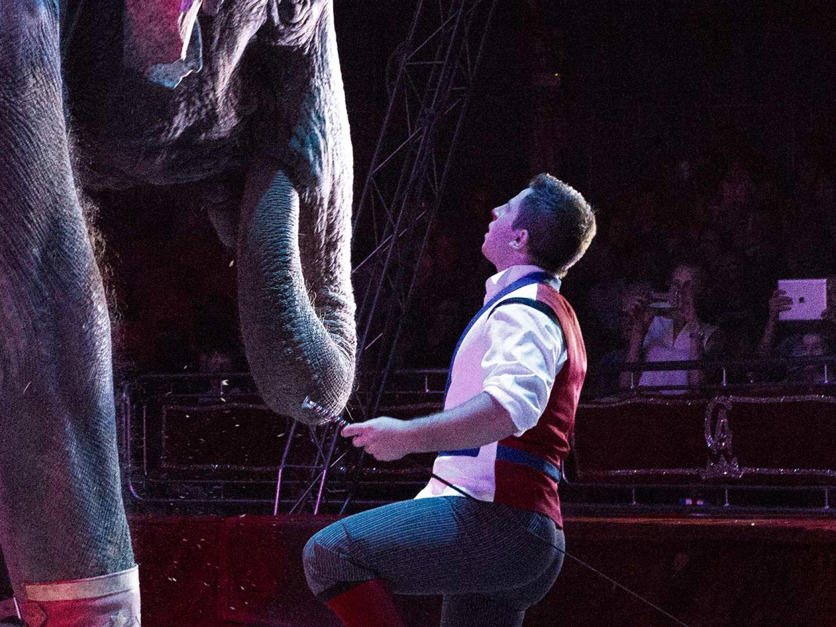 El payaso Elvis y la elefante Raya, durante la actuación en Los Alcázares.