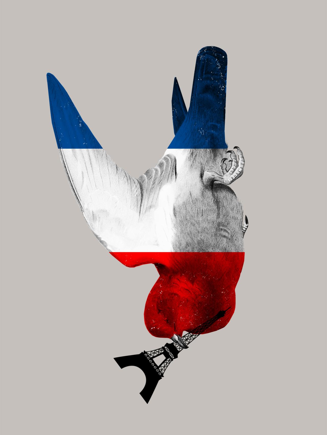 Derechos humanos: zona 0