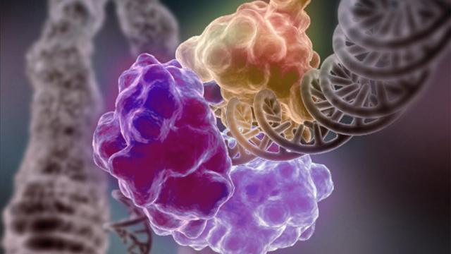 El ADN dañado puede causar cáncer.