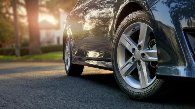 sistemanerviosoparalasruedas1