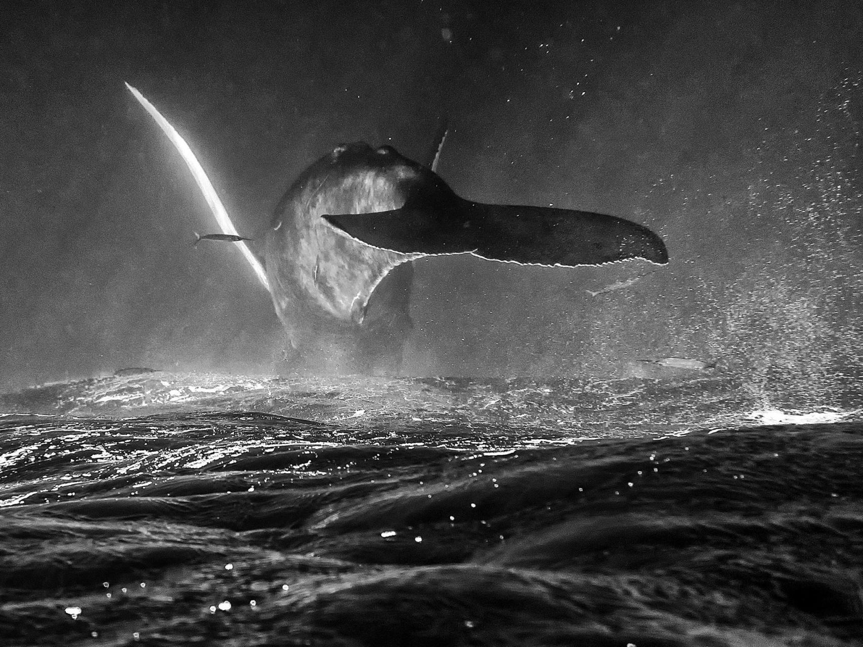 Nunca estuve en Nantucket