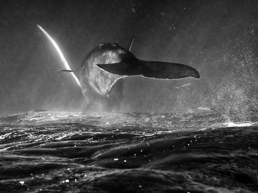 Nunca estuve en Nantucket