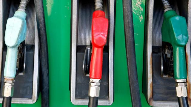 Gasolina
