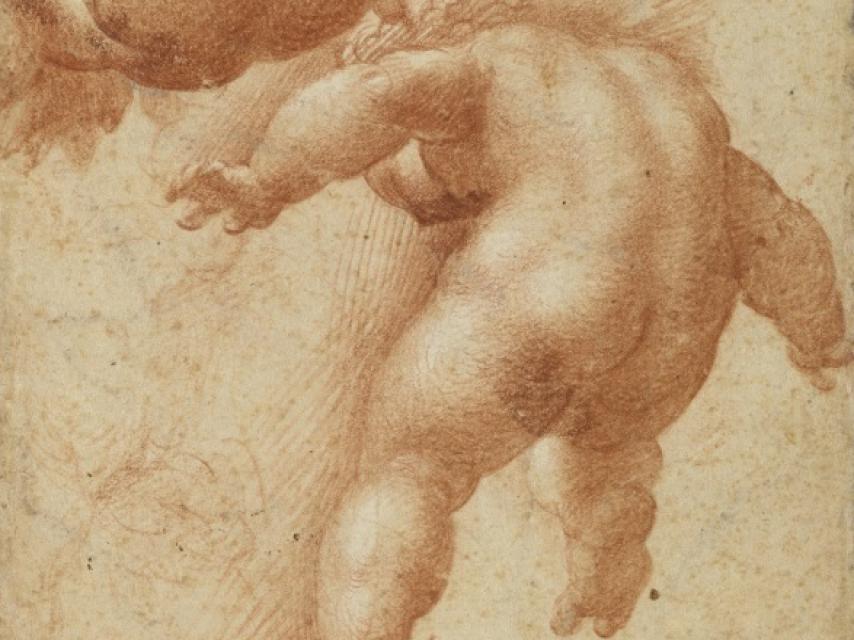 Fragmento de los dos putti volantes de Parmigianino, boceto en el Louvre.
