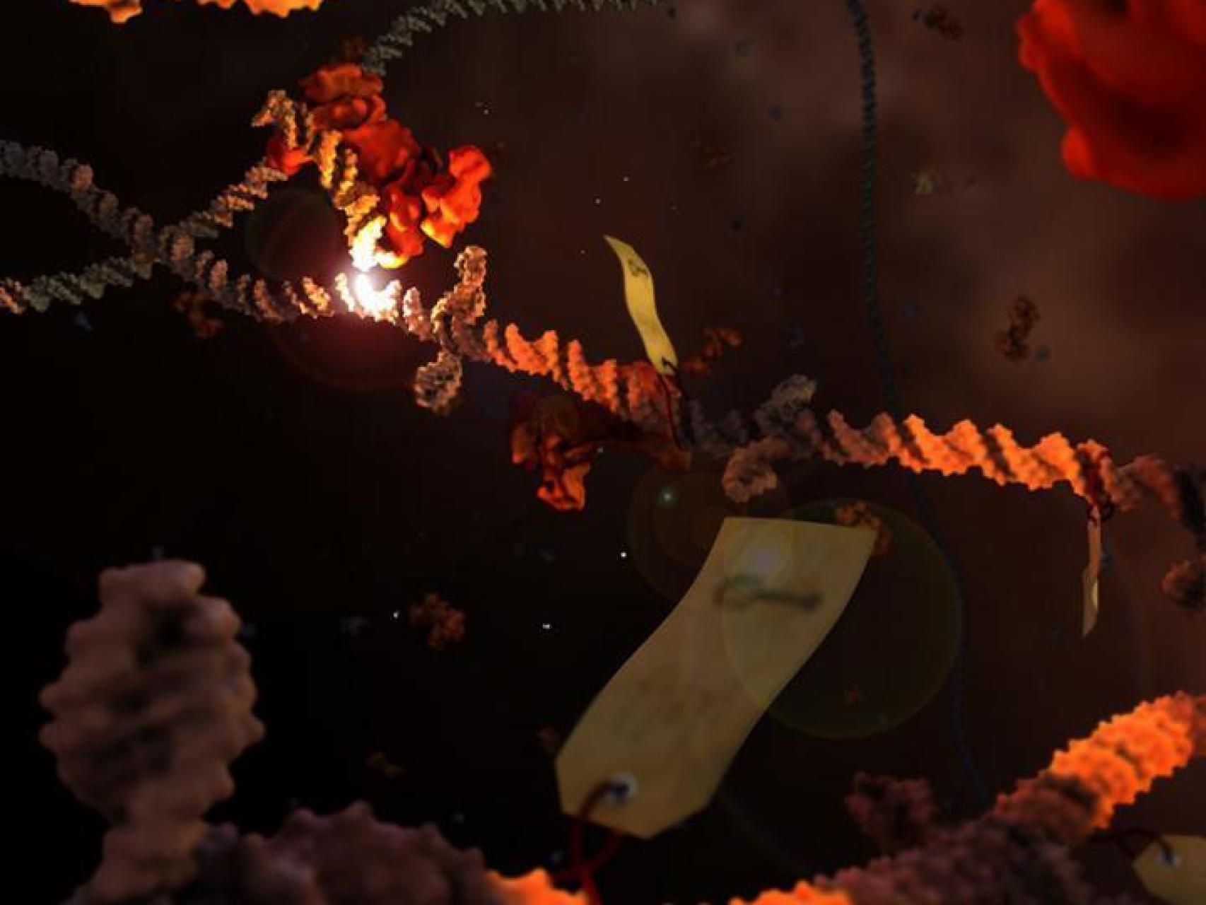 Recreación de la técnica de edición genética.