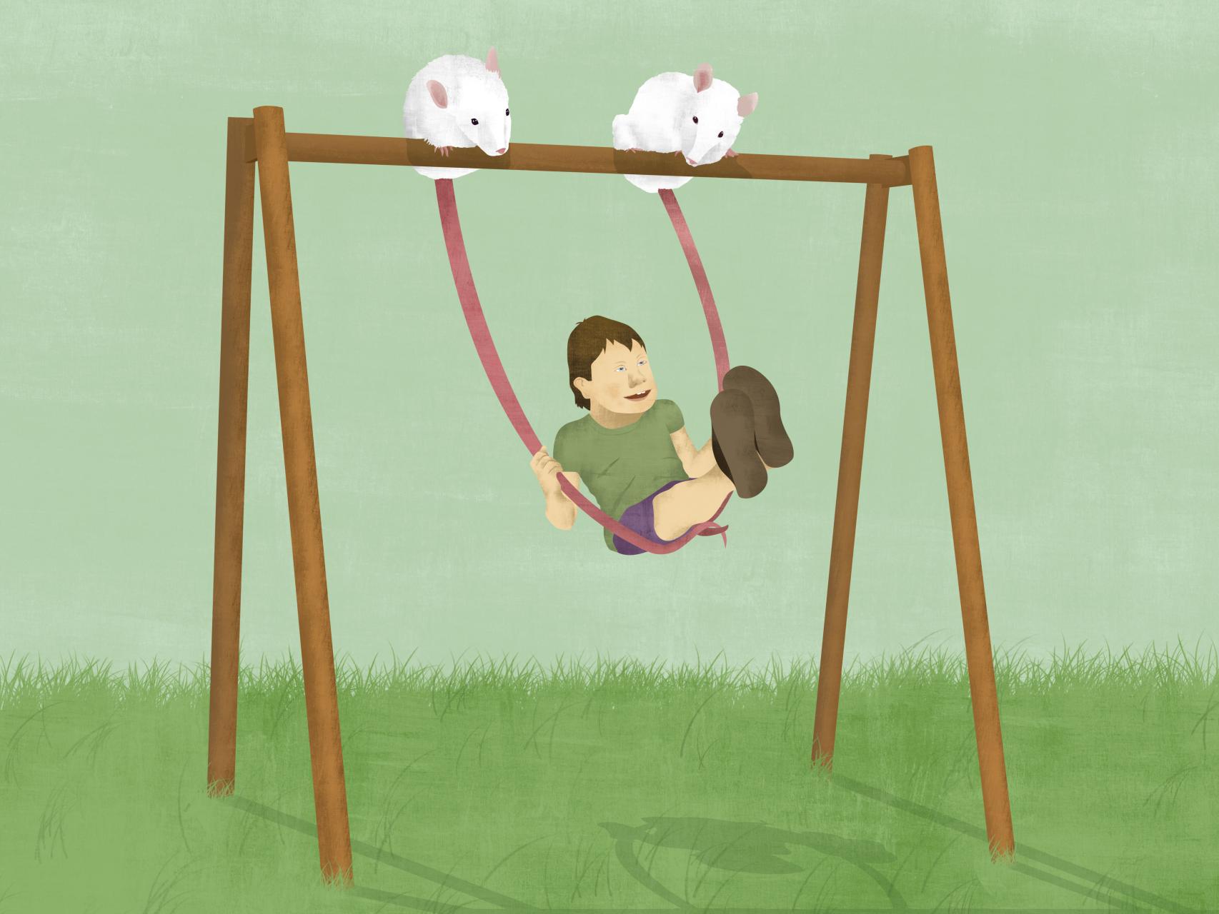 Del ratón al humano, el paso clave en la investigación.