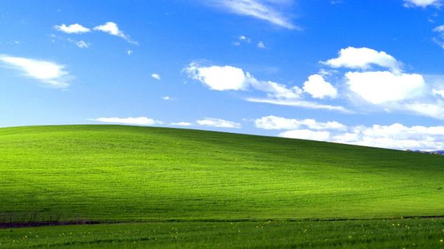 windows xp