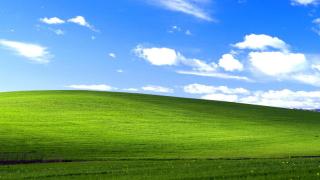 windows xp