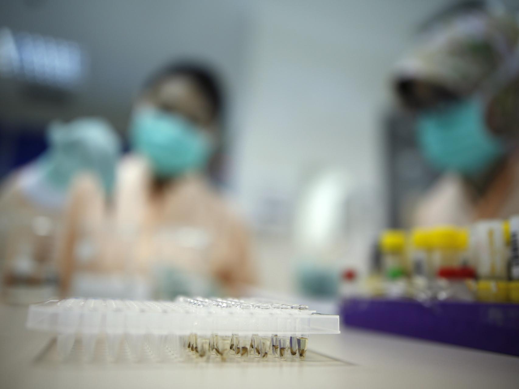 Investigación con mosquitos transmisores de enfermedades en Indonesia.