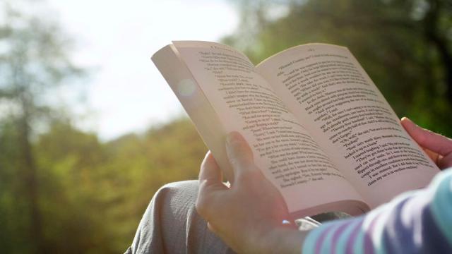 Leer libros en Android