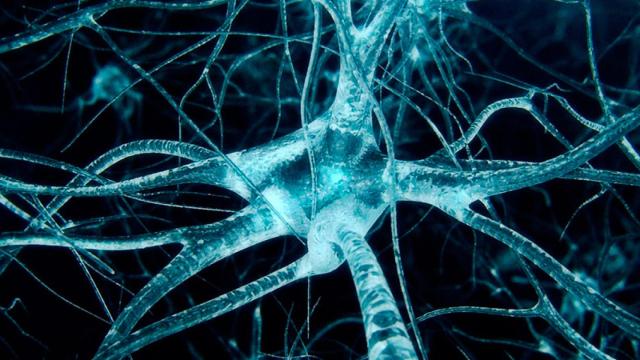 grafeno-neuronas