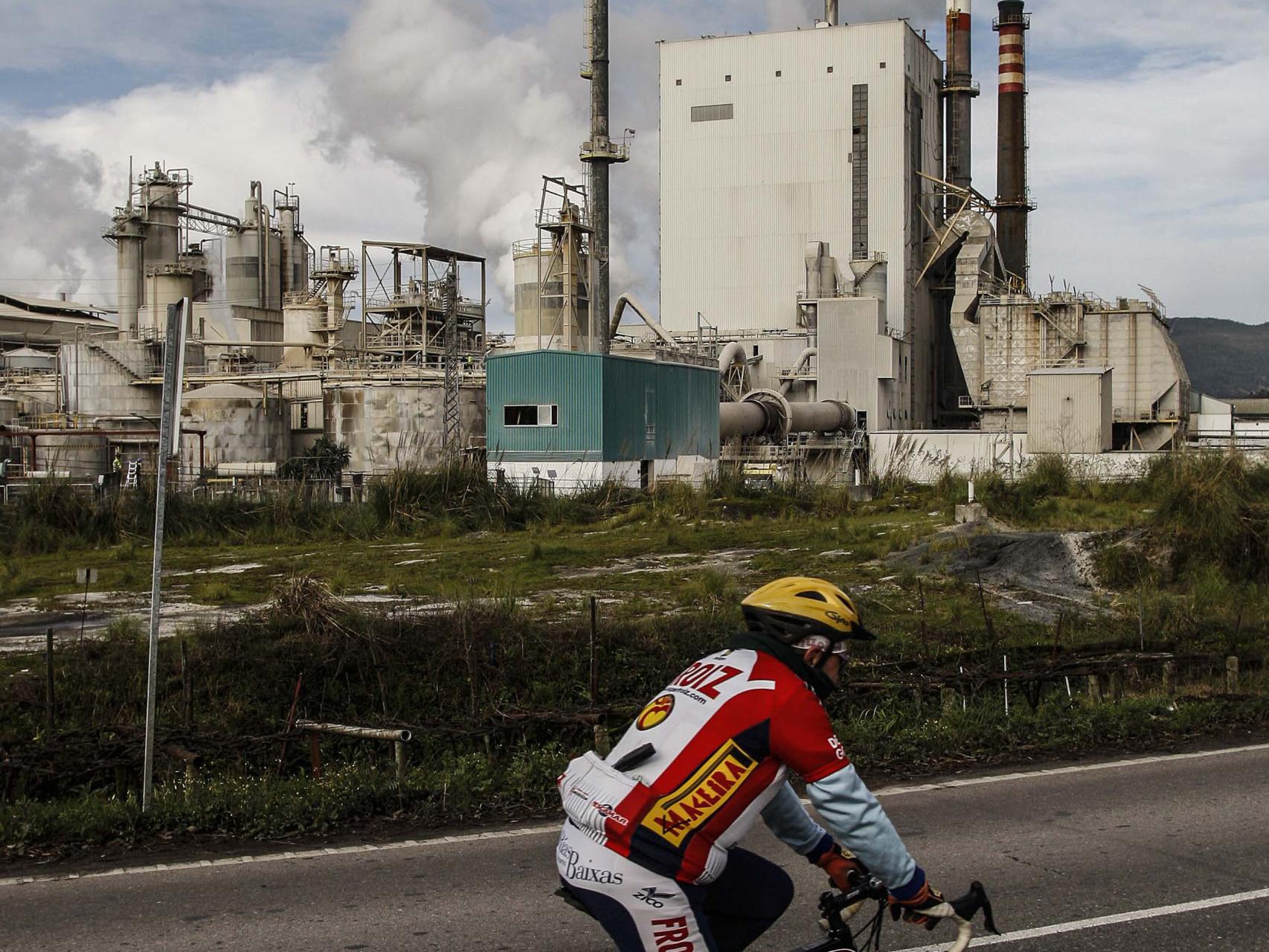 Pontevedra castiga a Rajoy por su planta de celulosa. ¿Hace falta papel?