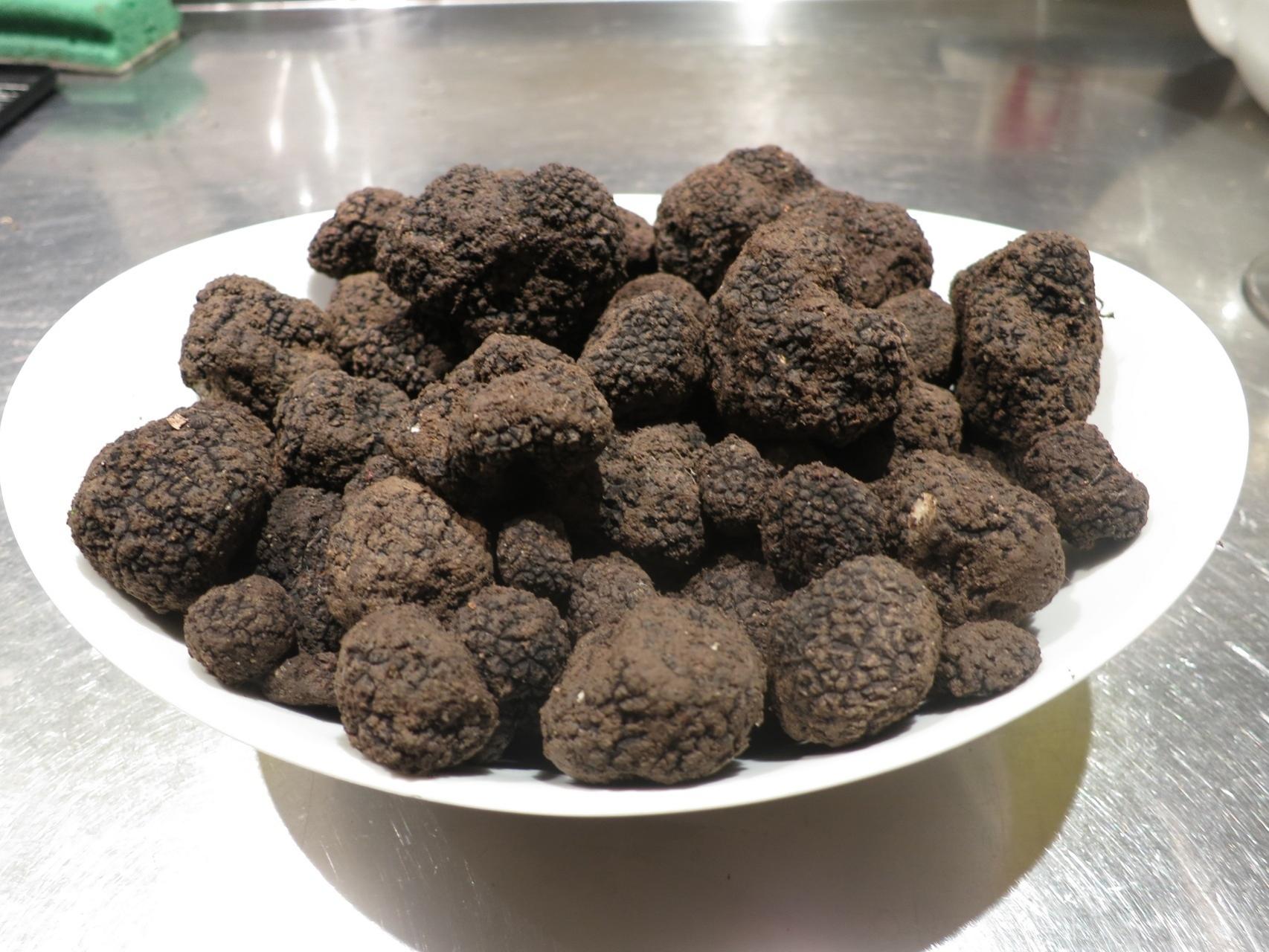 Trufas de verano antes de ser analizadas.