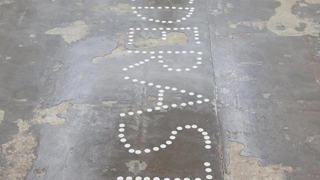 Fotografía que motiva la querella