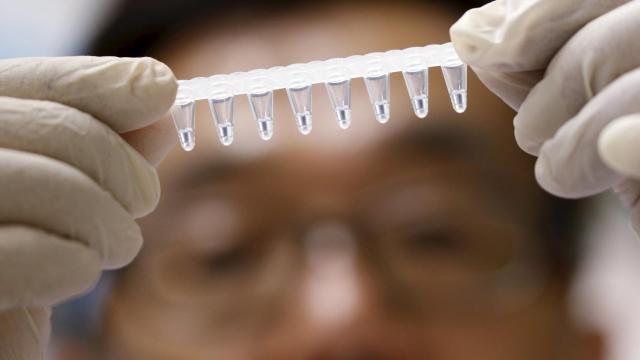 Los investigadores buscan fondos de formas cada vez más diversificadas.