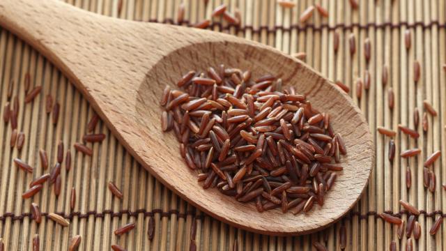 Arroz Rojo, fuerte aliado para la salud