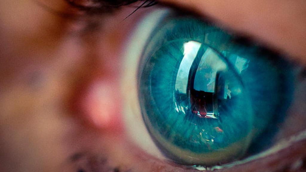 Concepto de lentillas.