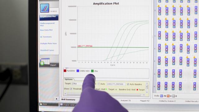 Científico señala un programa que mide muestras de sangre en Puerto Rico.