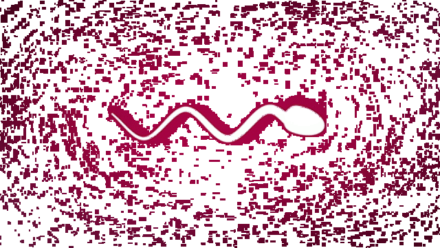 espermatozoide_nadando