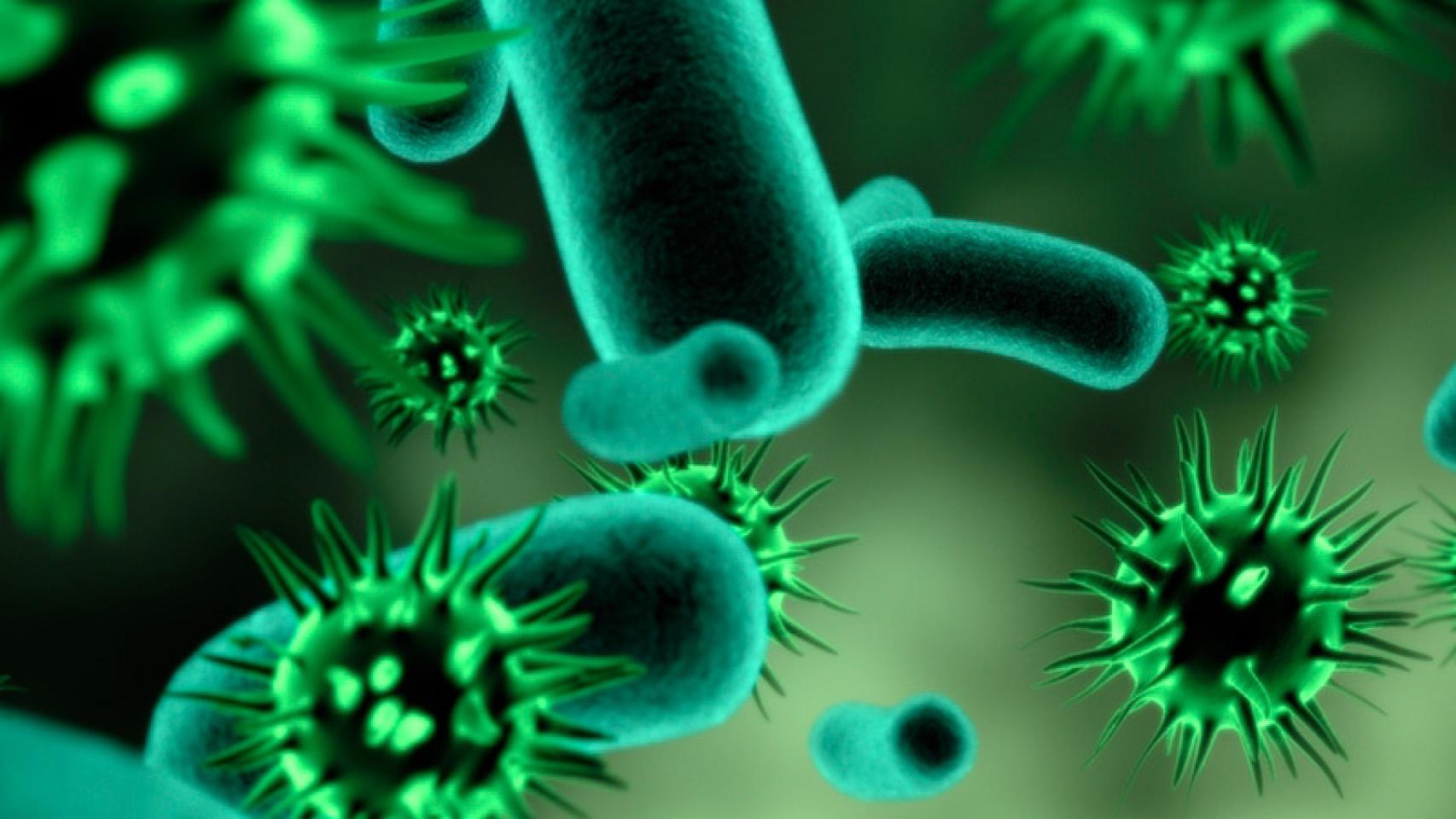 Bacterias y virus.