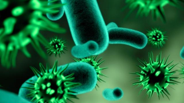 bacteria-virus