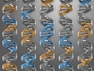 Un chasis genético para crear vida artificial en el laboratorio