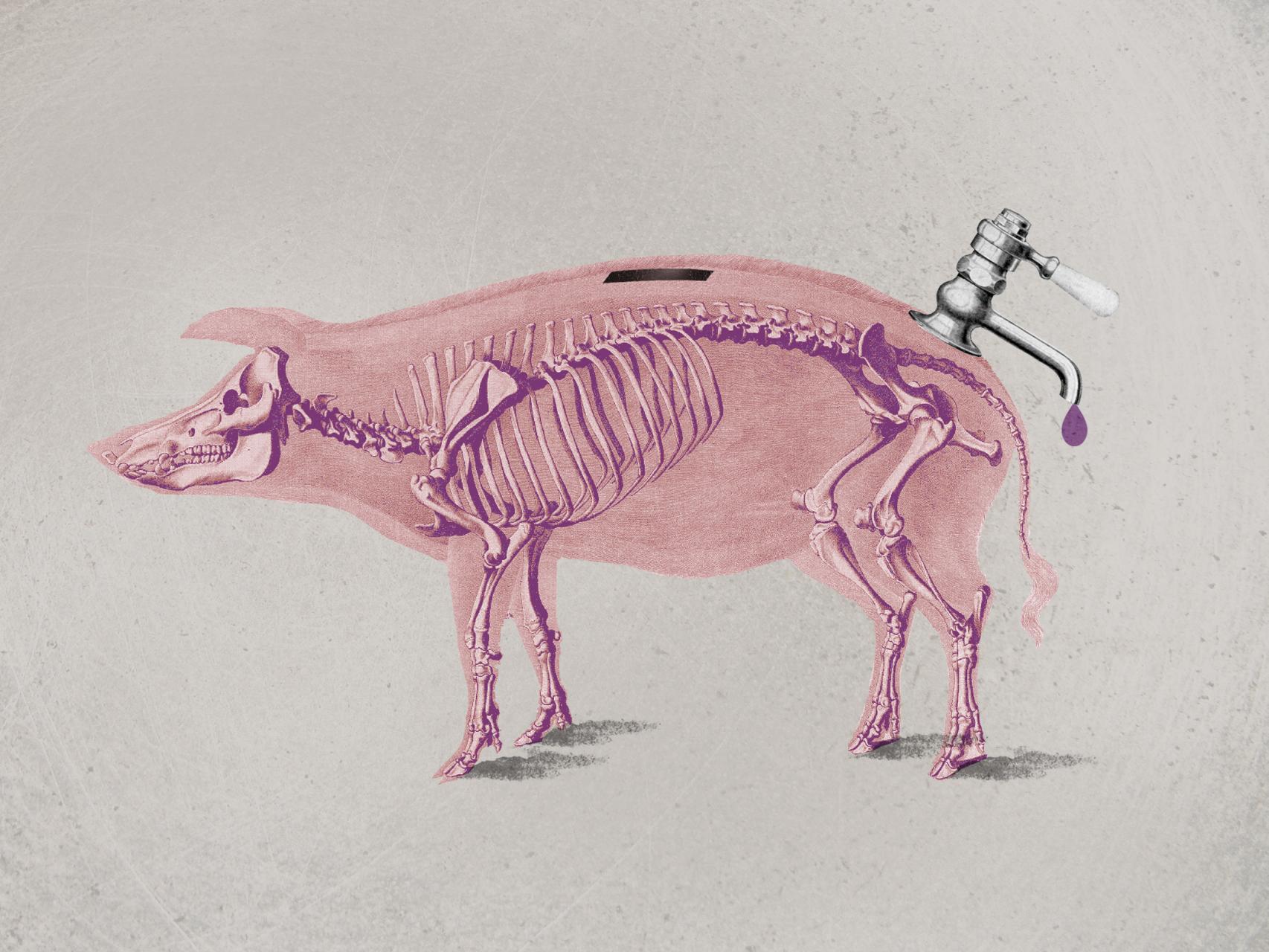 El riesgo para España de una grave crisis fiscal