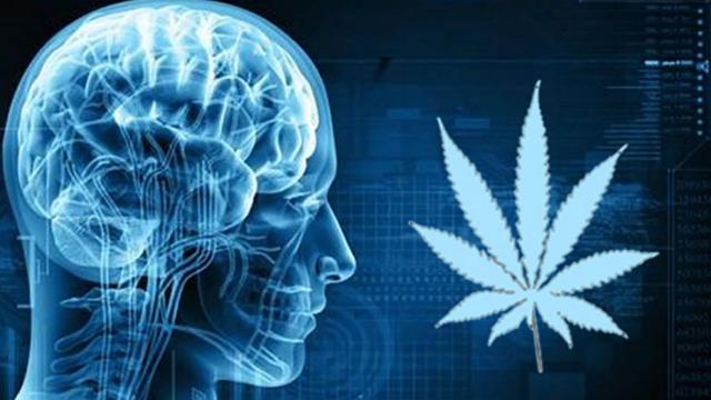 marihuana_adiccion