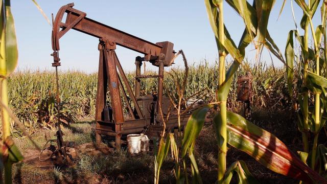 La ciencia busca obtener combustible más barato, limpio y sostenible.