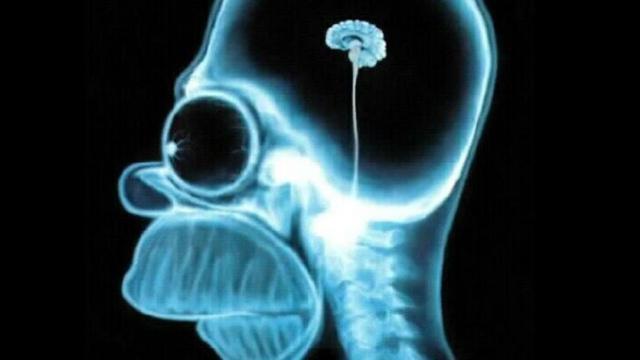 homer-simpson-wallpaper-brain-1024