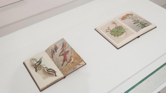 Image: Lecciones de museología emocional