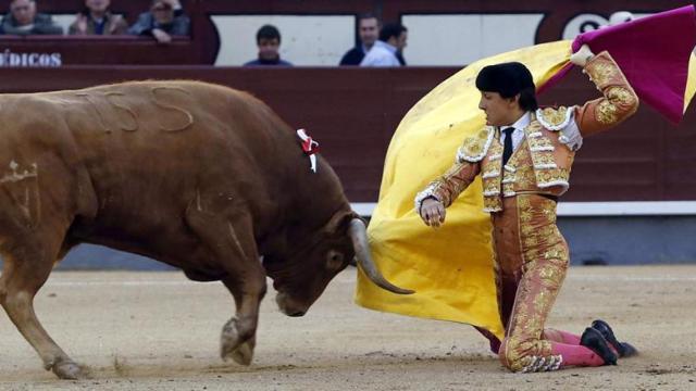 Roca Rey da un pase de rodillas.