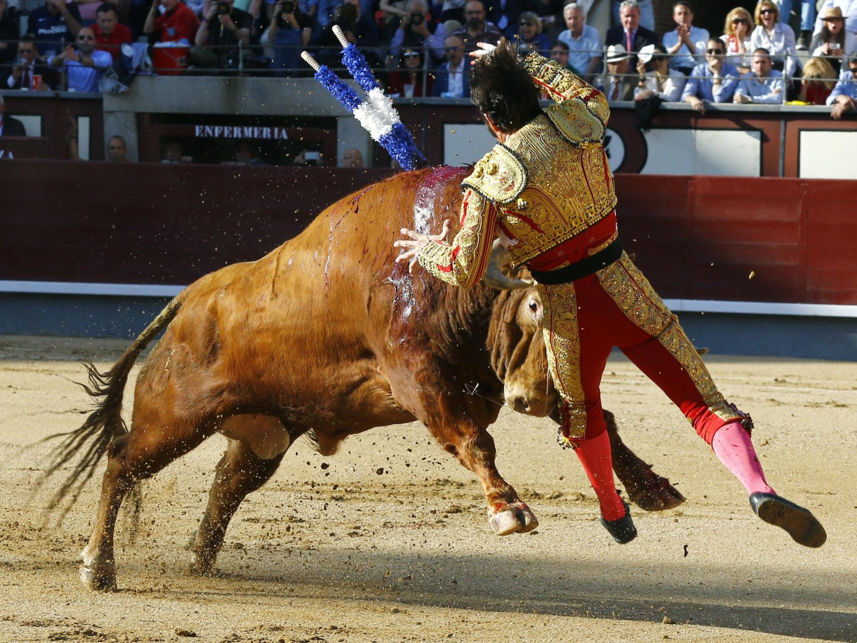 Espectacular y dura cogida a Padilla cuando ponía el primer par de banderillas.