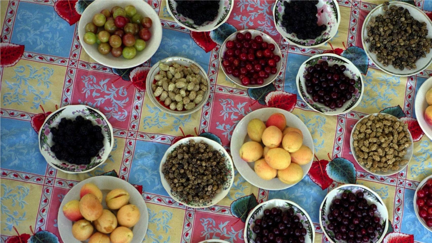 Dos científicos escriben el mejor libro de cocina del año