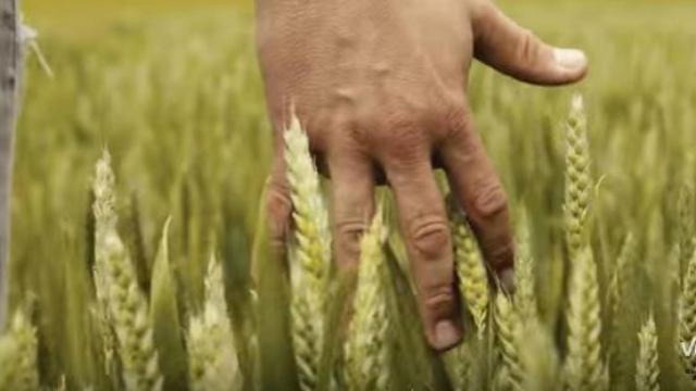 Captura del vídeo del Vox.