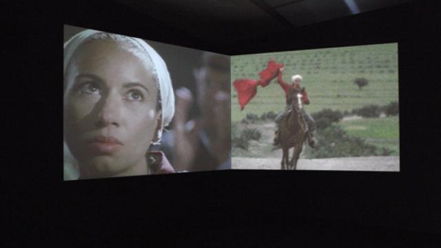 Image: Andrea Fraser, seducción masiva