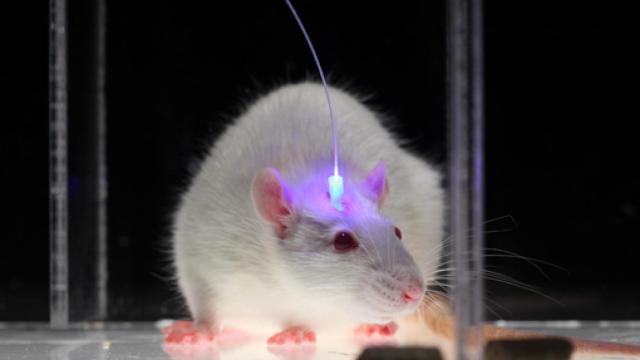 Image: La importancia de la tecnología