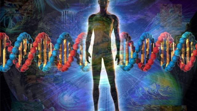 evolución genes