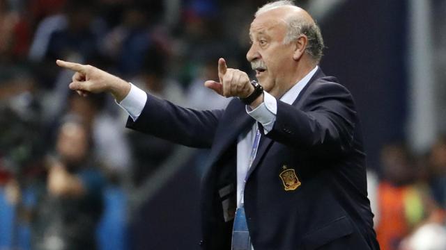 Vicente del Bosque, durante el España-Turquía.