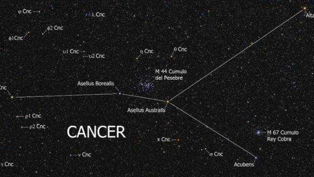 Cancer