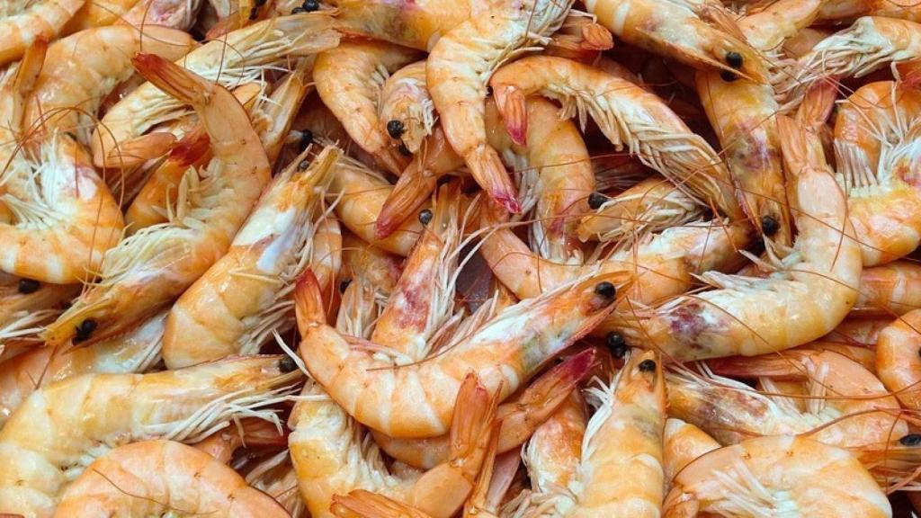 Imagen de archivo de gambas.