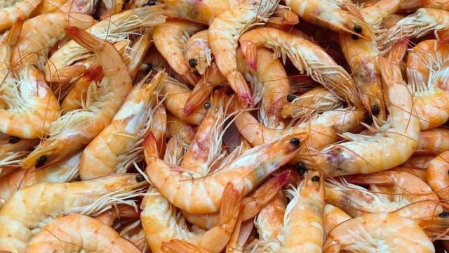 Imagen de archivo de gambas.