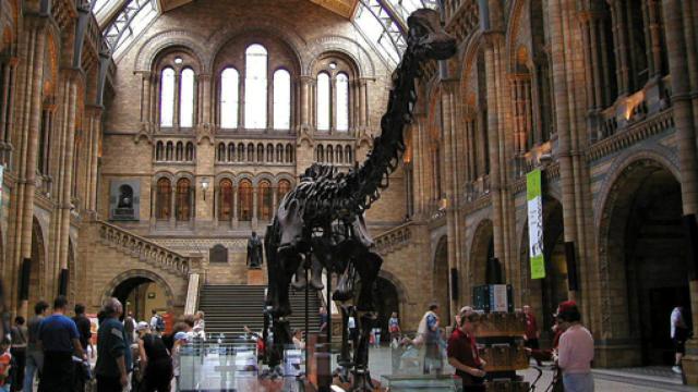 Image: Ciudad y Ciencia (4): Londres, del Gran Fuego al Exhibition Road