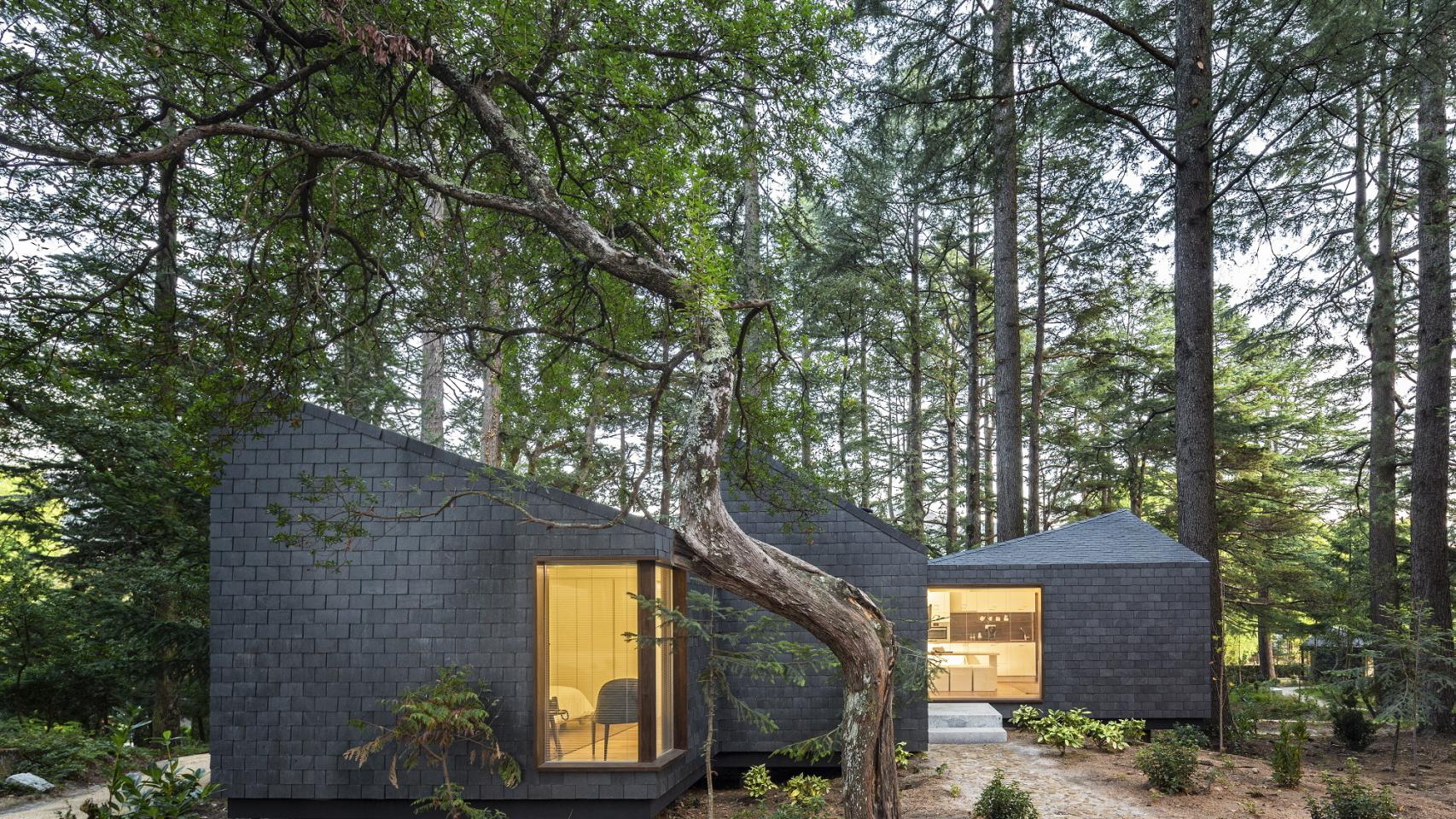 Hoteles para cuidar La Tierra