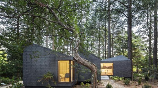 Hoteles para cuidar La Tierra