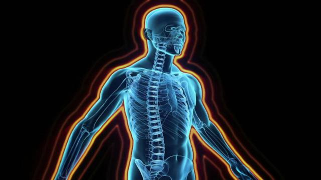 sistema_inmune_comportamiento