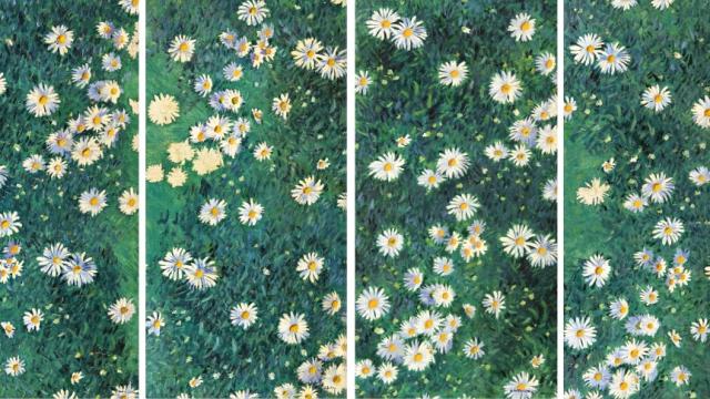 Parterre de margaritas, pintado por Caillebotte en 1892.