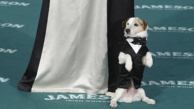 Pancho en la premier de su película.