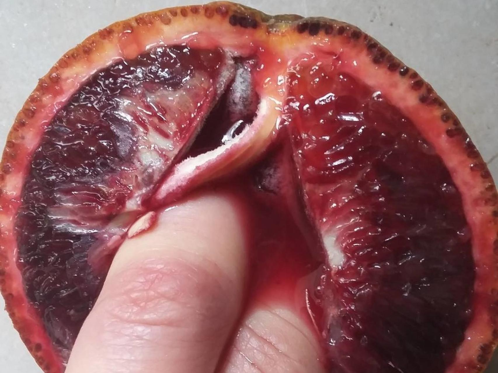 La naranja de sangre.